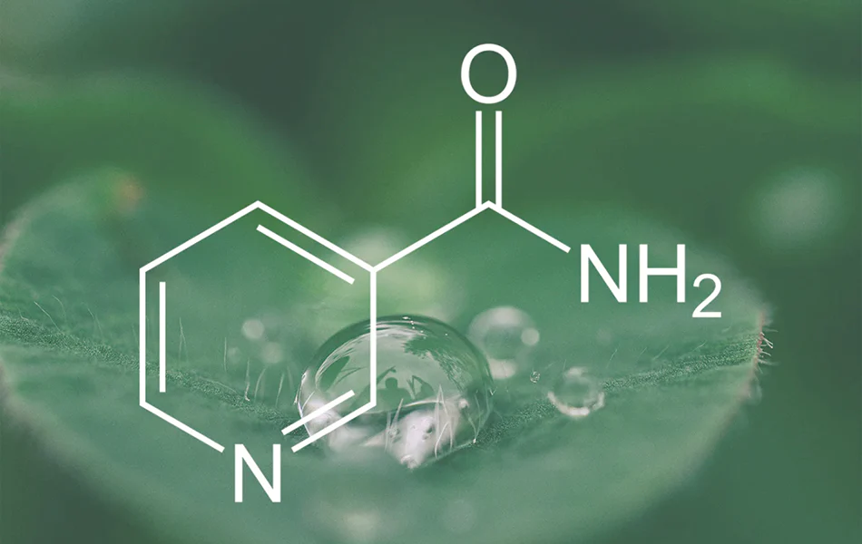 Ingredient Spotlight: Niacinamide