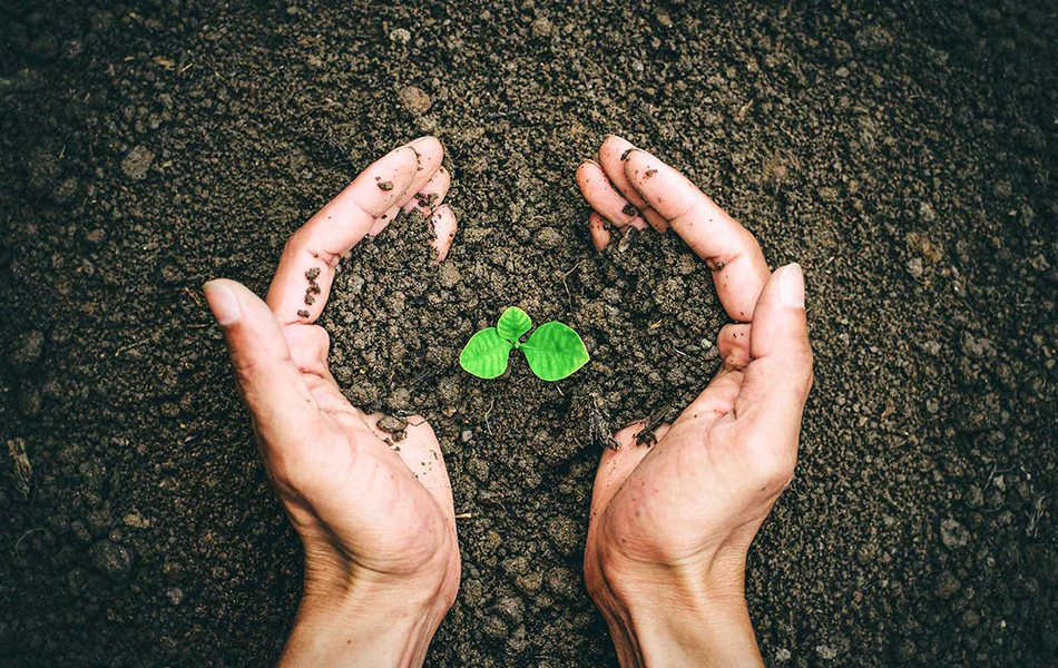 Ingredient Spotlight: Fulvic Acid Benefits