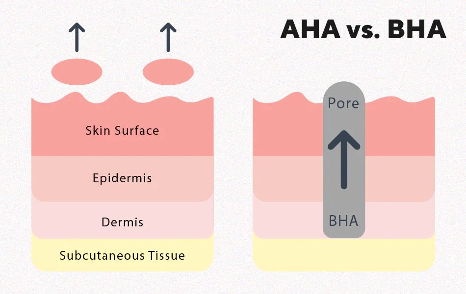 AHA vs. BHA – What’s the Difference?