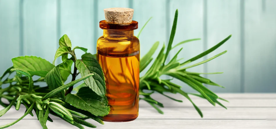The Truth About Acne and Tea Tree Oil